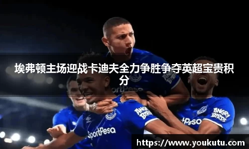 埃弗顿主场迎战卡迪夫全力争胜争夺英超宝贵积分